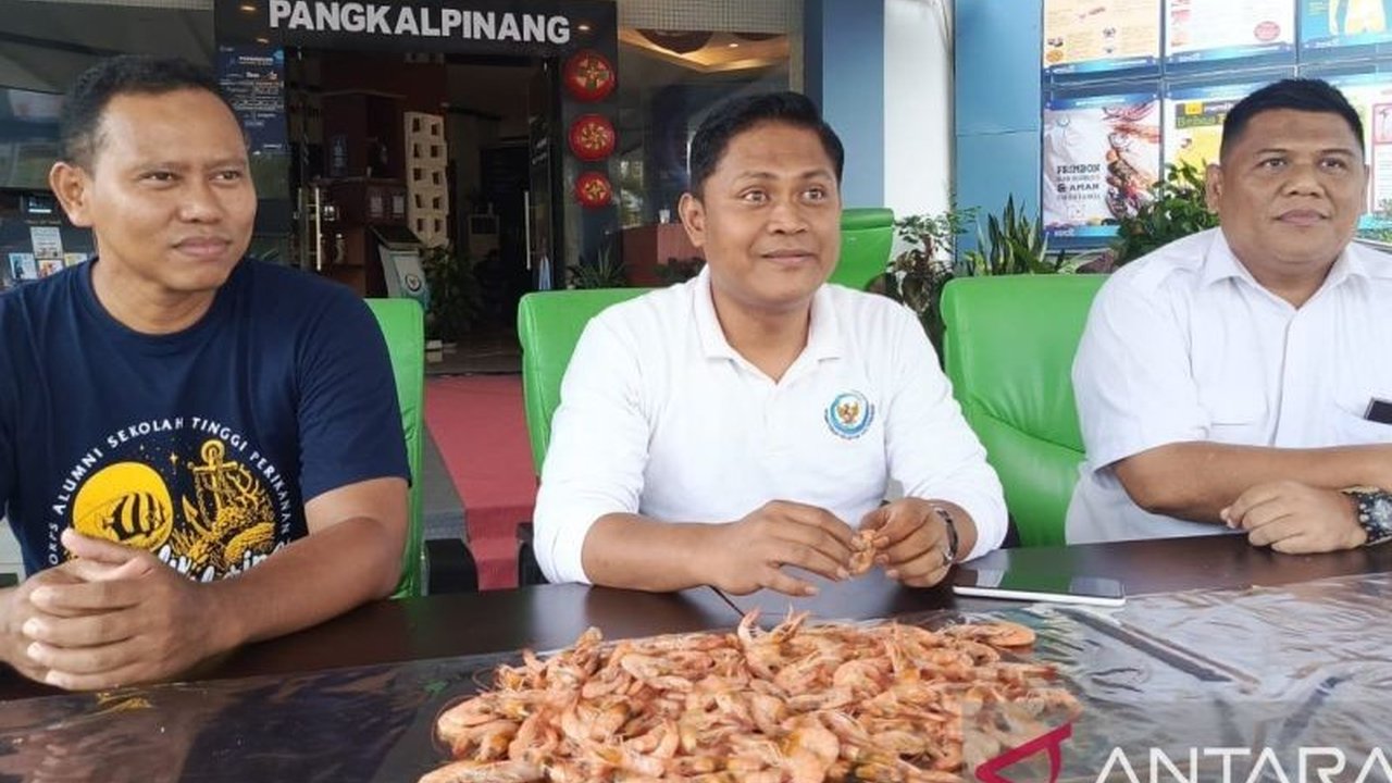 Badan Mutu KKP pastikan Kualitas Udang Bangka Belitung terjamin dari hulu ke hilir. Jangan panik, simak fakta lengkapnya terkait isu pencemaran yang beredar!