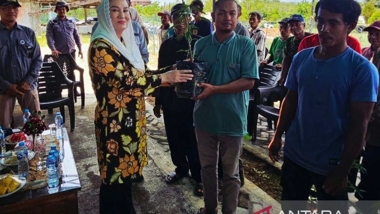 Pemkab Natuna salurkan 6.750 bibit cabai Natuna ke 15 kelompok tani, langkah strategis dukung Program P2B, penuhi pangan sehat, dan tekan inflasi daerah.