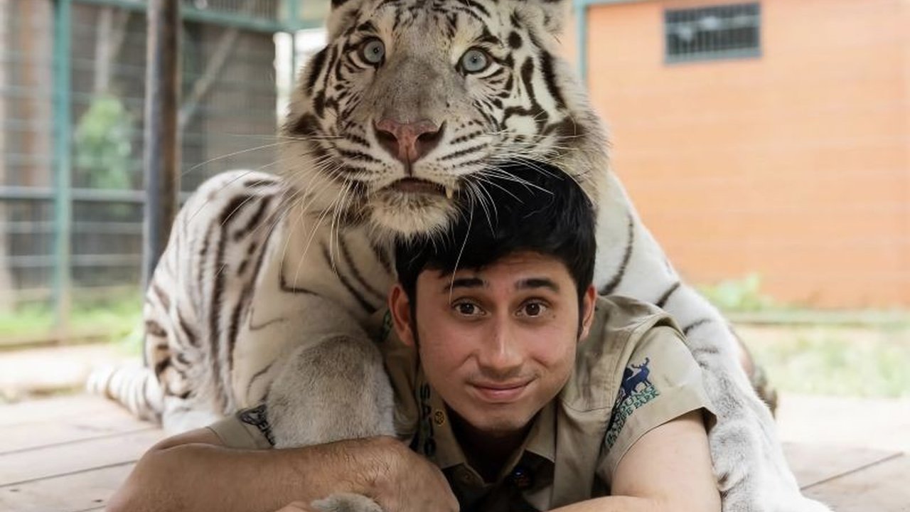 Kreator konten Alshad Ahmad dan PKBSI mendesak penyelesaian polemik Bandung Zoo yang ditutup sementara. Mereka khawatir akan nasib satwa dan biaya operasional yang fantastis jika penutupan berlanjut. Apa dampaknya bagi satwa?