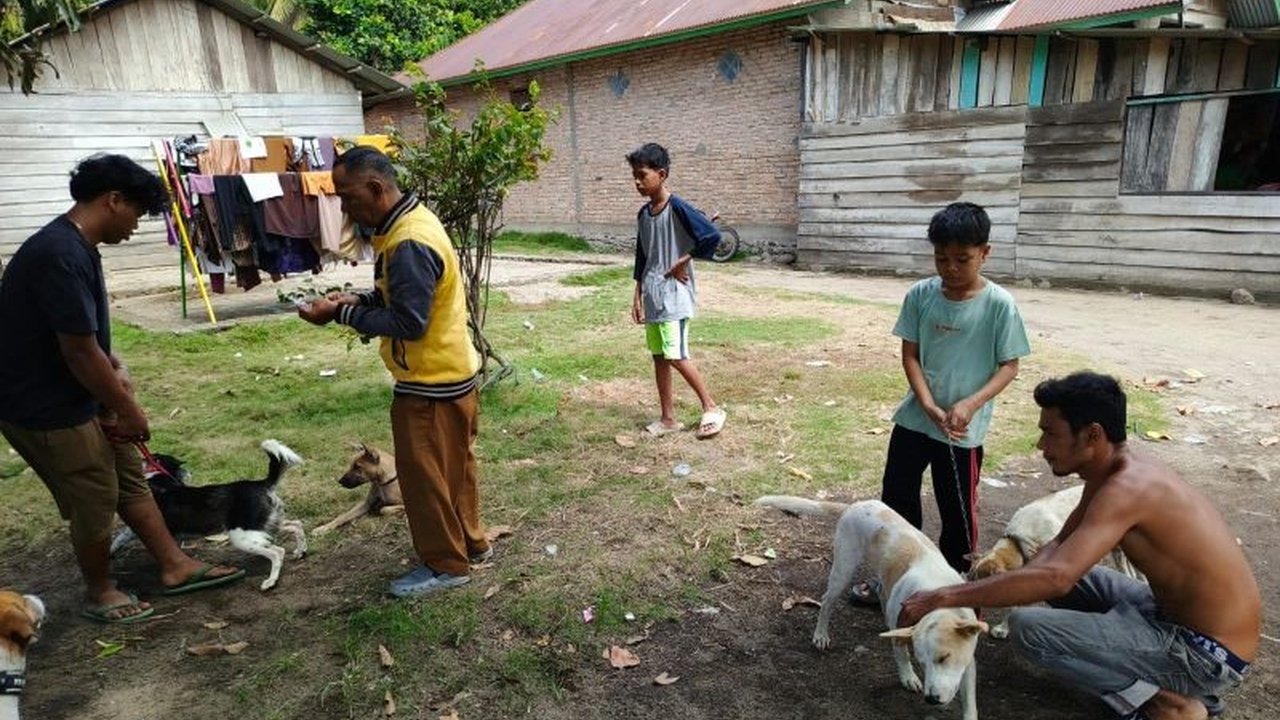 Pemerintah Kabupaten Pasaman Barat mengimbau warga waspada gigitan hewan penular rabies. Tercatat 105 kasus gigitan terjadi, namun stok vaksin rabies Pasaman Barat dipastikan aman hingga akhir tahun.