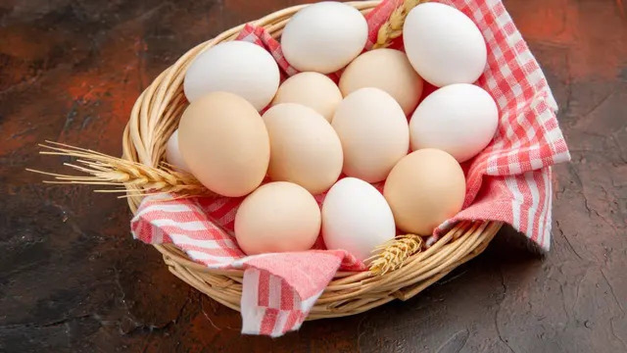 Ilustrasi Ayam Bahagia Hasilkan Telur Fungsional, Pakar: Lebih Efektif Cegah Stunting. Foto freepik/kamranaydinov.