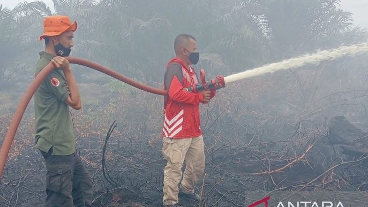 BPBD Nagan Raya bersama tim gabungan berjibaku memadamkan kebakaran lahan sawit seluas dua hektar di Suak Puntong, Nagan Raya, yang telah berlangsung sejak Selasa. Apa penyebabnya?