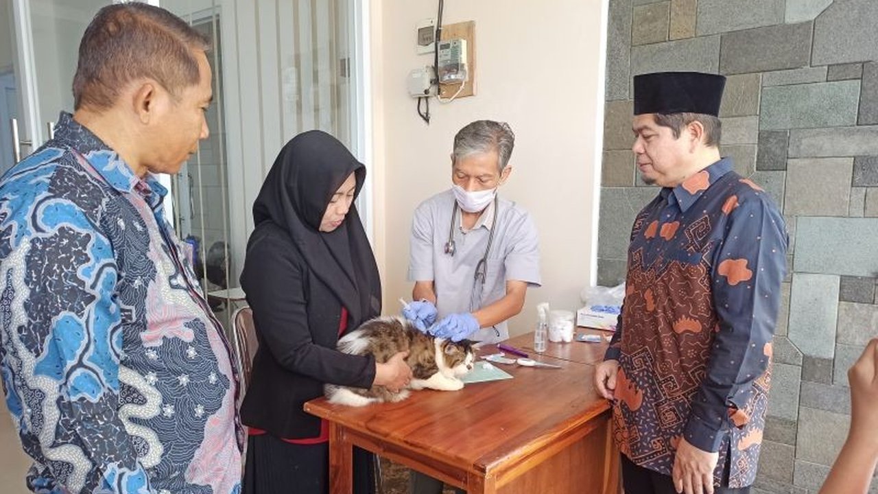 Yayasan Pemberdayaan Nusantara (YPN) sukses menggelar vaksinasi rabies gratis bagi hewan peliharaan di Bandarlampung, wujudkan komitmen kesehatan dan dukung Indonesia Bebas Rabies 2030.