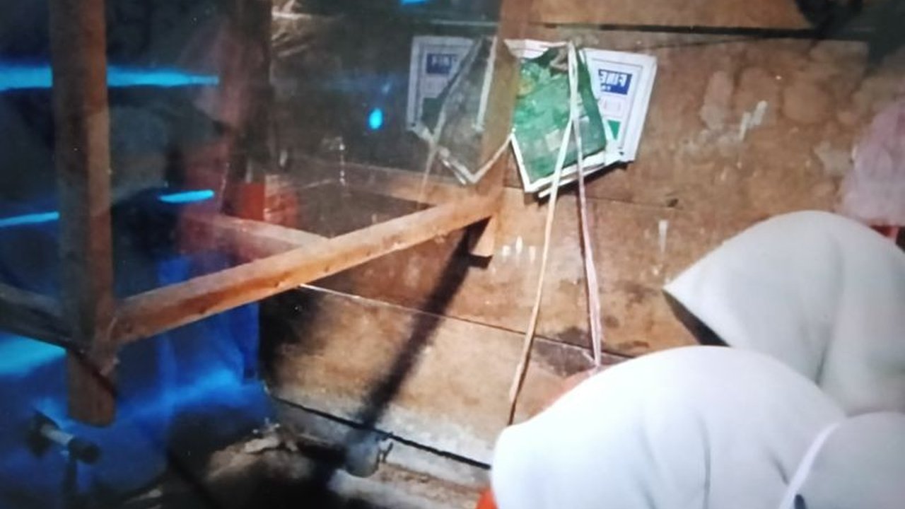 Dinas Kesehatan Pasaman Barat menetapkan Kejadian Luar Biasa (KLB) DBD di Kecamatan Sungai Aur setelah 42 kasus dan 2 kematian tercatat. Upaya masif PSN dan 3M Plus digencarkan.