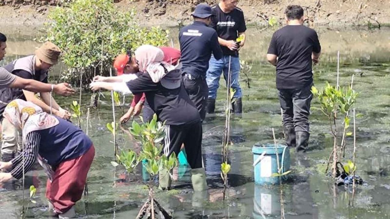 Asosiasi Pelaku Pariwisata Indonesia (ASPPI) Aceh tanam mangrove sebanyak 5.000 batang di Mangrove Park Lampulo dalam rangka Hari Pariwisata Sedunia, wujudkan pariwisata hijau dan lestarikan pesisir.
