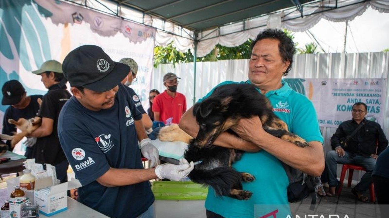 Pemkab Bangli, Bali, melakukan vaksinasi rabies Bangli terhadap 60 anjing dan kucing, serta sterilisasi, demi mewujudkan Bangli bebas rabies dan menekan angka kasus kematian. Simak upaya lengkapnya!