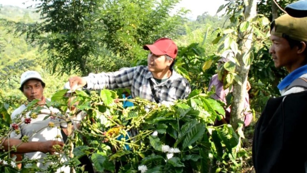 Dinas Kehutanan Lampung menegaskan pentingnya Perhutanan Sosial untuk selamatkan 37% hutan yang rusak, di tengah masifnya deforestasi dan aktivitas manusia di 80% kawasan hutan.