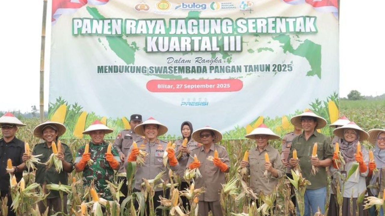 Polres Blitar sukses menggelar panen jagung di lahan seluas 2,9 hektare, menghasilkan puluhan ton jagung dan memperkuat ketahanan pangan. Simak peran Polri dalam pertanian!