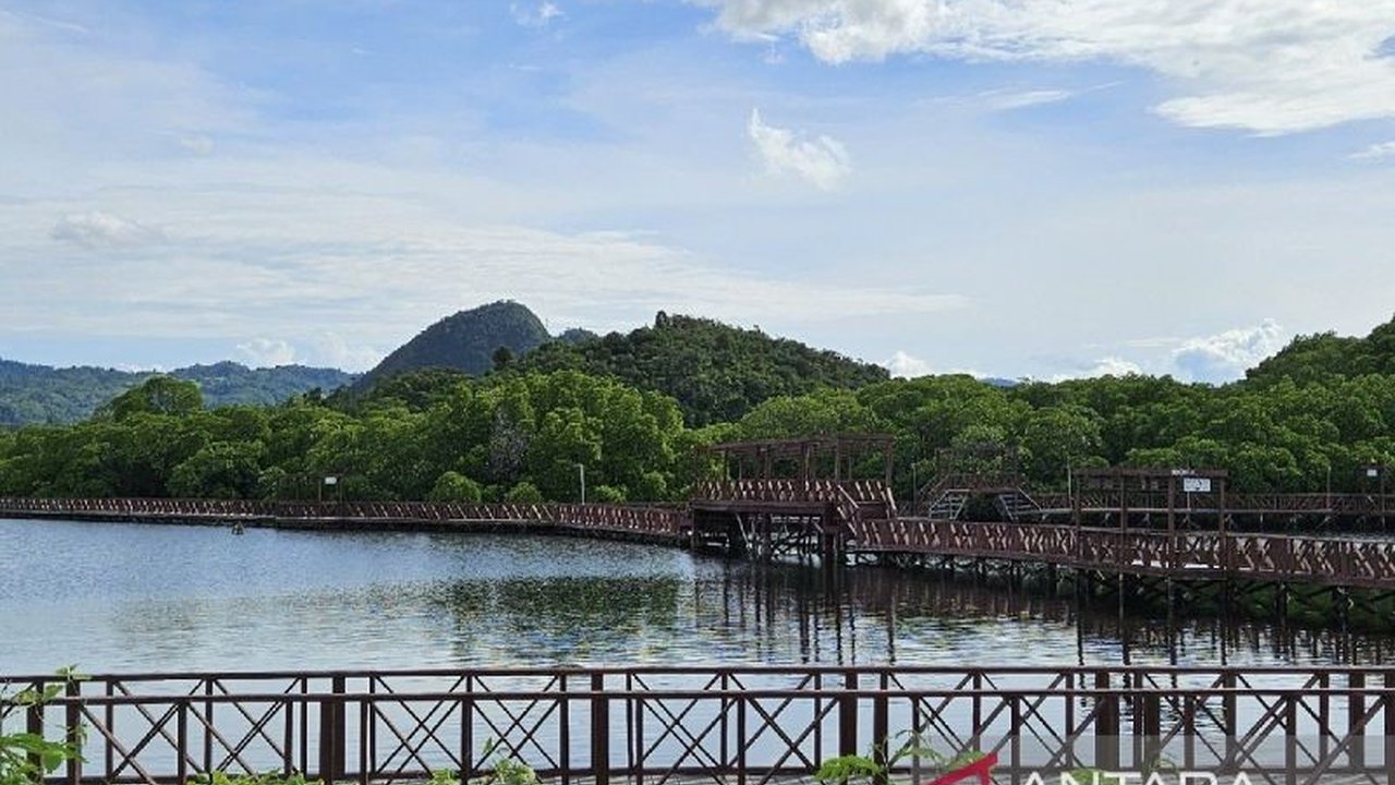 Pemerintah Provinsi Papua gencar mengembangkan Ekowisata Papua sebagai sumber ekonomi hijau. Temukan bagaimana konsep ini memberdayakan masyarakat adat sekaligus menjaga kelestarian alam.