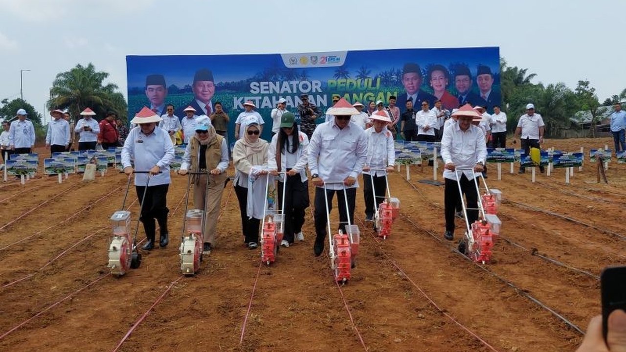 Produktivitas Jagung Bengkulu berhasil melampaui rata-rata nasional pada tahun 2024, mencapai 8,83 ton per hektare. Simak bagaimana provinsi ini mencapai capaian luar biasa dan dukungan program ketahanan pangan!