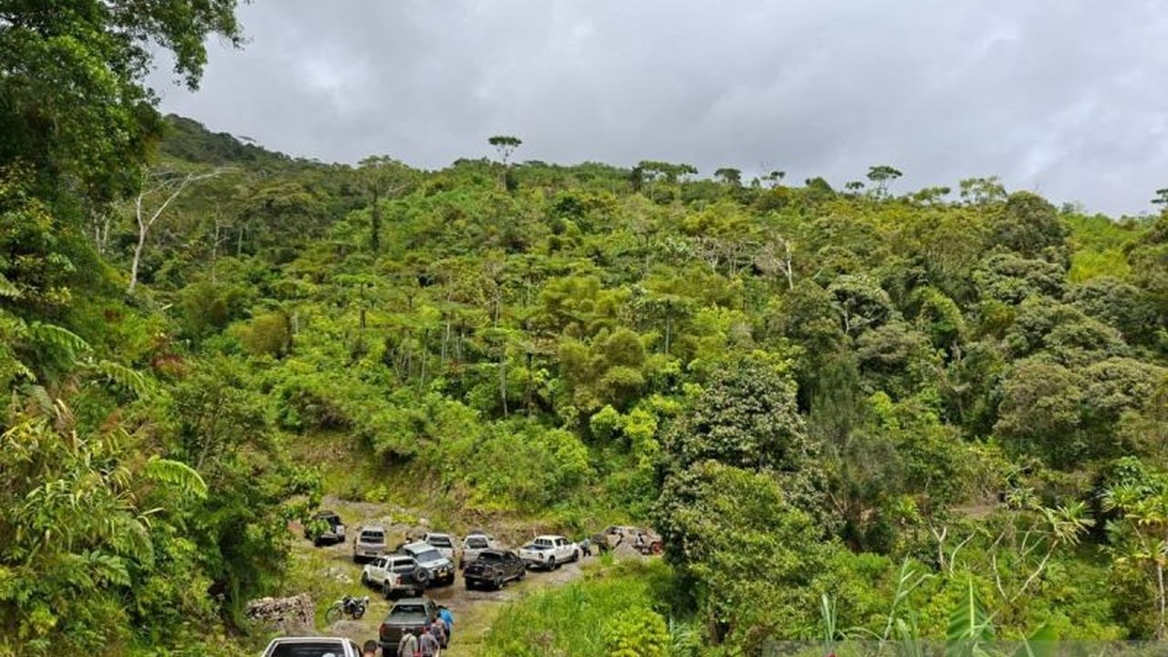 Pemerintah Provinsi Papua Barat memperbarui Peta Kawasan Hutan dan Perairan untuk akurasi tata ruang, menyusul penyusutan luas hutan 3 juta hektare. Langkah ini jadi dasar kebijakan berkelanjutan.