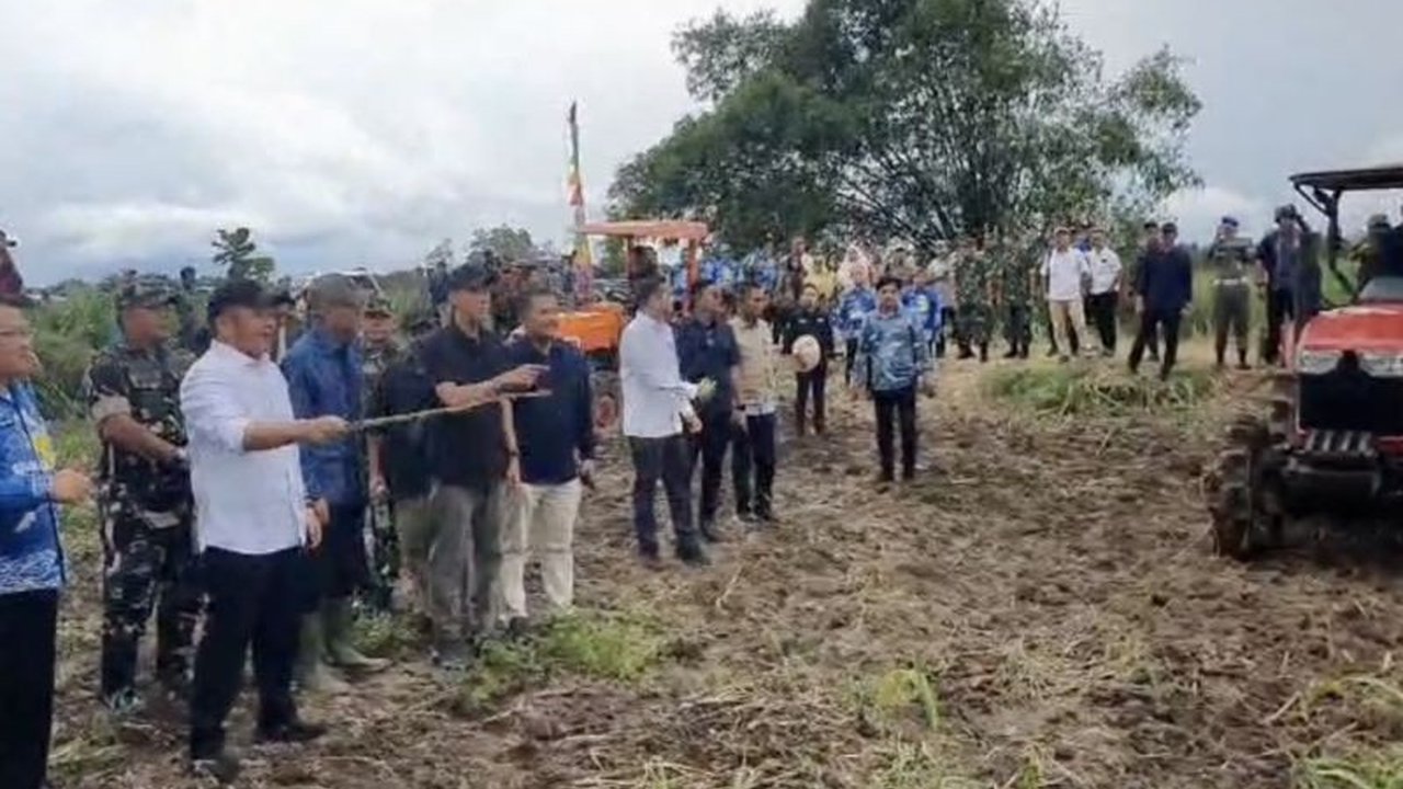 Pemerintah Provinsi Sumatera Selatan menargetkan peningkatan Produksi GKG Sumsel menjadi 5 juta ton pada 2026, didukung perluasan lahan sawah dan infrastruktur, menjanjikan surplus beras signifikan.