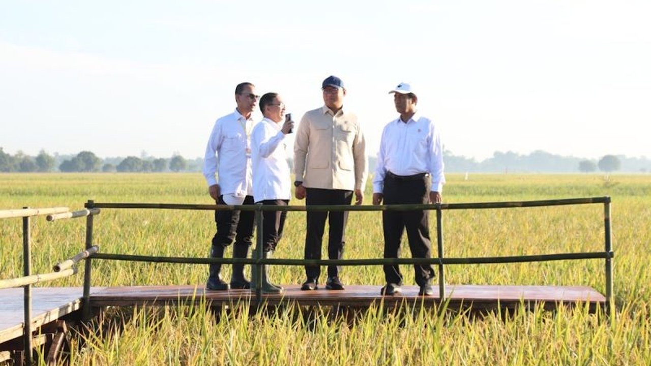 Menteri Pertanian optimistis Indonesia segera capai swasembada beras dalam tiga bulan ke depan, didukung lonjakan produksi signifikan yang melampaui capaian tujuh tahun terakhir. Akankah terwujud?