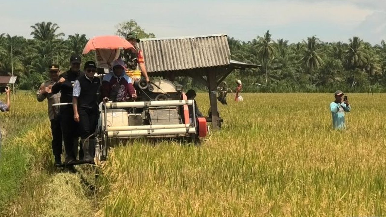 Pasaman Barat mendapatkan gelontoran **Bantuan Kementan Pasaman Barat** berupa benih hingga alsintan untuk ketahanan pangan. Simak detail lengkap dan dampaknya pada produksi lokal!