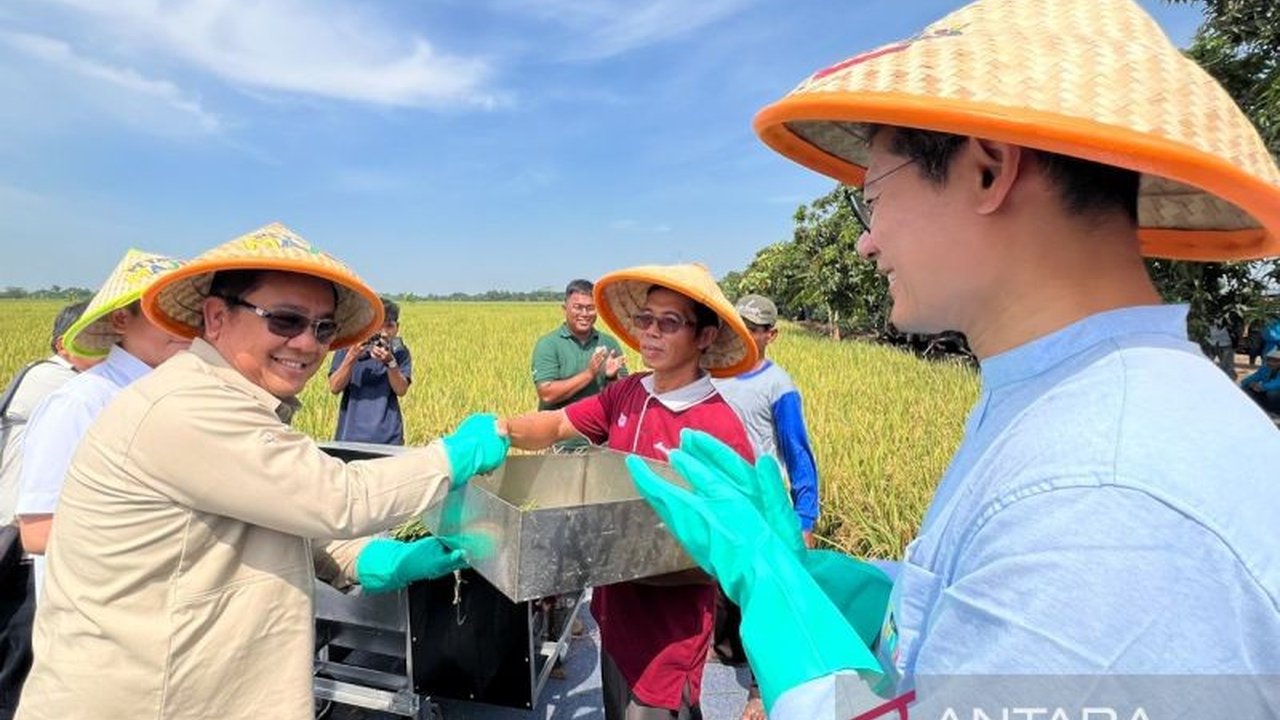 Bappenas memastikan kebijakan pemerintah membeli gabah Rp6.500/kg di tingkat petani strategis dorong kesejahteraan. Ketahui potensi keuntungan fantastis yang bisa diraih petani!