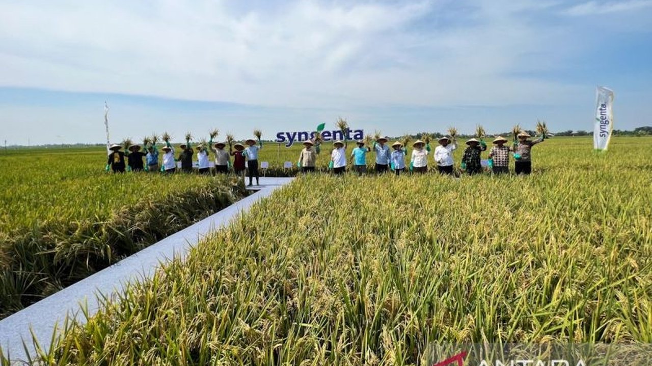 Berbagai Kebijakan Ekonomi Terkini menghiasi pemberitaan, mulai dari pengawasan BBM subsidi untuk kapal penumpang hingga harga gabah Rp6.500/kg yang menyejahterakan petani.