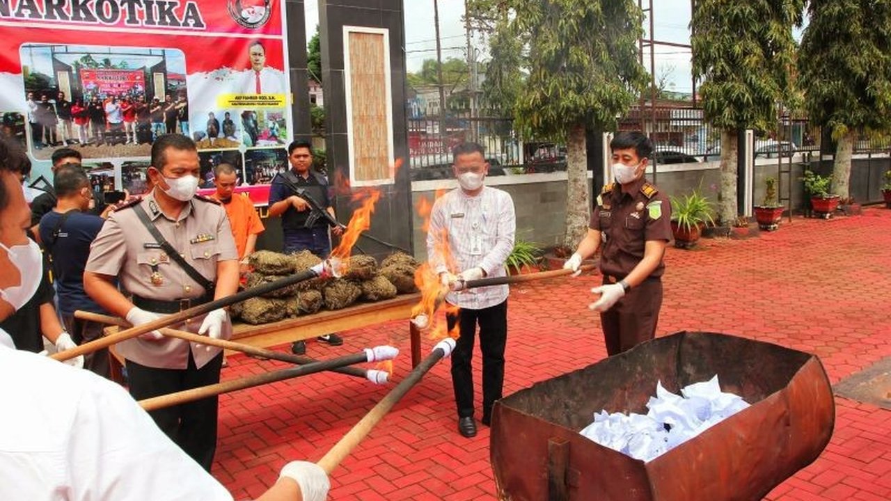 Polres Pasaman memusnahkan 15 kilogram barang bukti narkotika jenis ganja Pasaman yang disita dari dua tersangka, mengungkap jaringan peredaran dari Mandailing Natal menuju Padang.