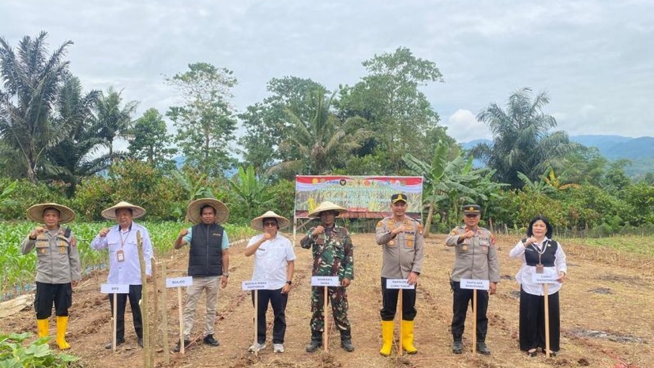 Bulog Palopo dan Polres Lutim bersinergi menanam jagung serentak di lahan 1 hektar. Upaya ini mendukung program Swasembada Pangan Jagung nasional. Simak detailnya!
