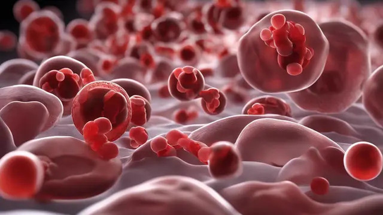 trombosit adalah Ilustrasi dibuat Stable Diffusion