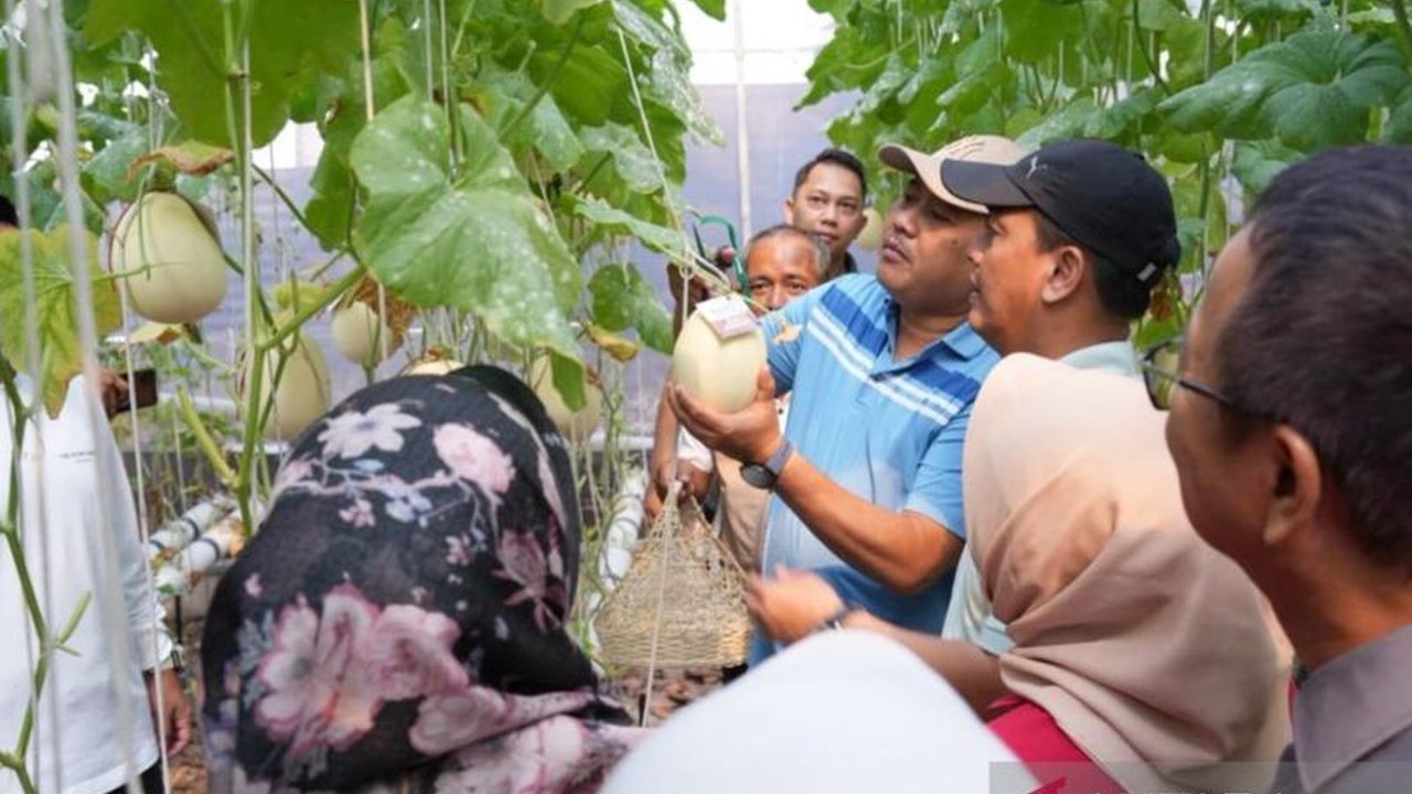 Pemerintah Kota Jakarta Timur intensifkan program Penghijauan Jakarta Timur melalui penanaman pohon dan budidaya tanaman pangan, sekaligus dorong ekonomi warga. Simak upaya selengkapnya!