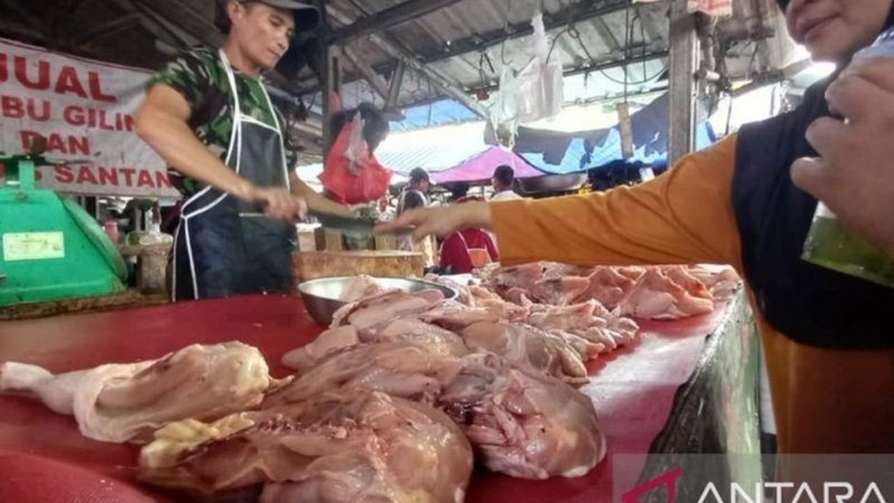 Provinsi Kepulauan Bangka Belitung (Babel) menambah 25 ton pasokan daging ayam Babel untuk mengantisipasi lonjakan permintaan akhir pekan. Stok dipastikan aman, harga stabil.
