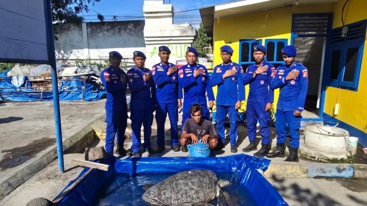 Ditpolairud Polda NTT berhasil meringkus nelayan pemburu penyu dilindungi di perairan Sikka. Pelaku terancam hukuman berat atas perbuatannya, mengungkap praktik ilegal yang meresahkan.