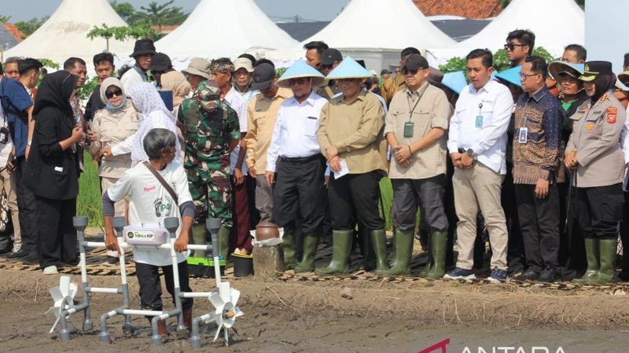 BP Taskin RI meluncurkan uji coba sistem pertanian digital di Cirebon, menjanjikan peningkatan produktivitas dan transparansi bagi petani. Simak bagaimana teknologi ini mengubah pertanian!