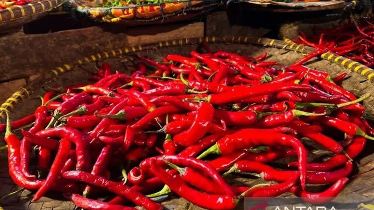 Badan Pangan Nasional (Bapanas) melaporkan mayoritas Harga Pangan Nasional mengalami penurunan signifikan, termasuk cabai rawit dan bawang merah. Apa saja komoditas lain yang ikut turun?