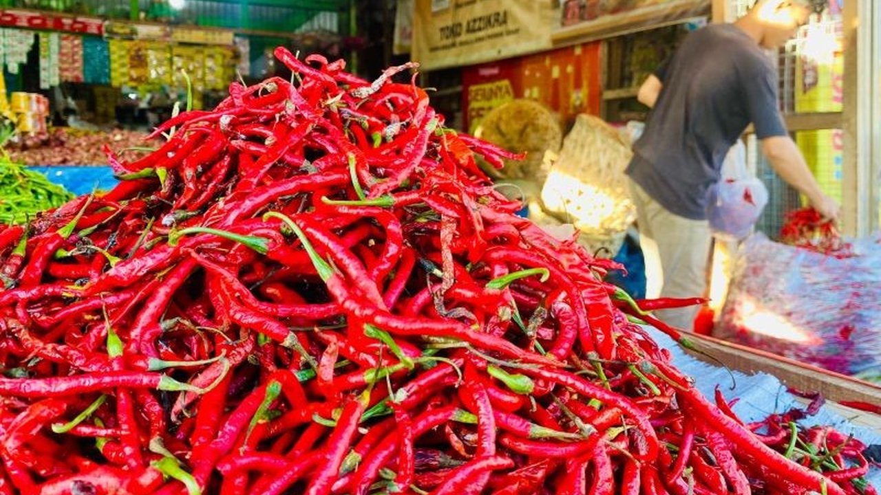 Harga cabai merah di Aceh Barat melonjak drastis hingga Rp90 ribu/kg, memicu keresahan warga. Simak penyebab utama kenaikan harga Cabai Merah Aceh Barat yang mencapai 150 persen ini.