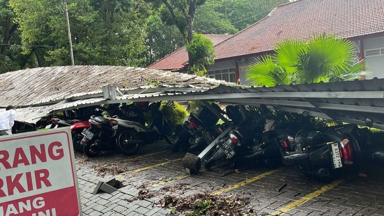 Hujan deras dan angin kencang sebabkan sejumlah pohon tumbang di kampus Unej, menimpa kendaraan dan menutup akses jalan. Simak detail kerusakannya!
