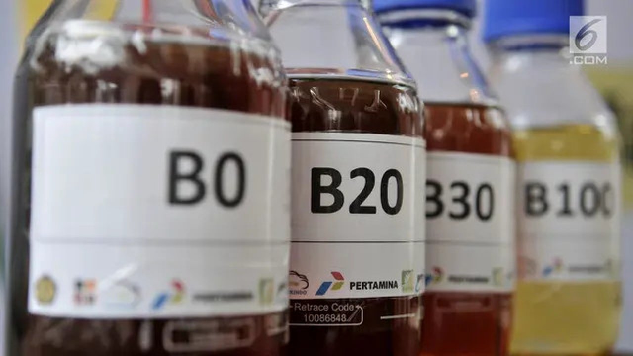 Sampel biodiesel B0, B20, B30, dan B100 dipamerkan saat uji jalan Penggunaan Bahan Bakar B30 untuk kendaraan bermesin diesel di Kementerian ESDM, Jakarta, Kamis (13/6/2019). (merdeka.com/Iqba