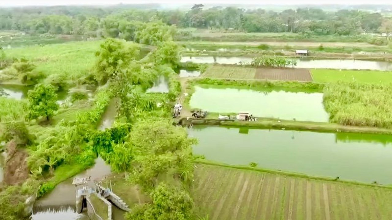 Ketimpangan penguasaan tanah di Indonesia mencapai Indeks Gini 0,78. Mampukah Reforma Agraria menjadi solusi untuk keadilan tanah dan kedaulatan pangan, terutama di bawah kepemimpinan baru?