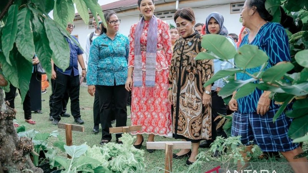 TP PKK Sumut supervisi program HATINYA PKK di Pematangsiantar, mendorong pemanfaatan pekarangan rumah untuk ketahanan pangan dan ekonomi keluarga. Bagaimana program ini membawa dampak nyata?