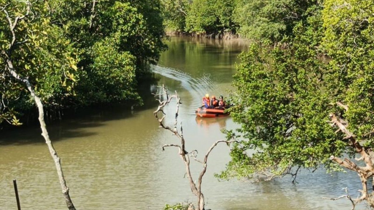 Tim SAR gabungan masih terus mencari seorang pemancing yang menjadi korban **pemancing diterkam buaya Balikpapan** di Sungai Kariangau, Balikpapan, menyisakan misteri yang belum terpecahkan.