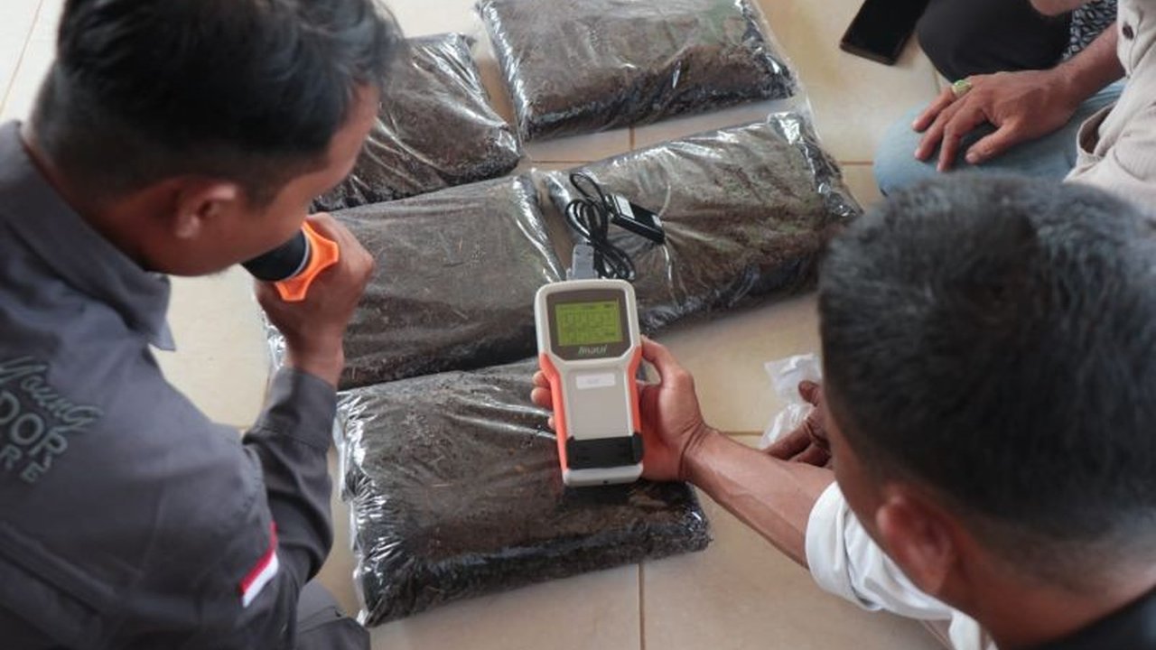 Bank Indonesia (BI) Aceh menggelar Pelatihan Cabai Teknologi Aceh, membekali petani dengan budidaya organik dan digital farming untuk menekan inflasi pangan. Simak dampaknya!