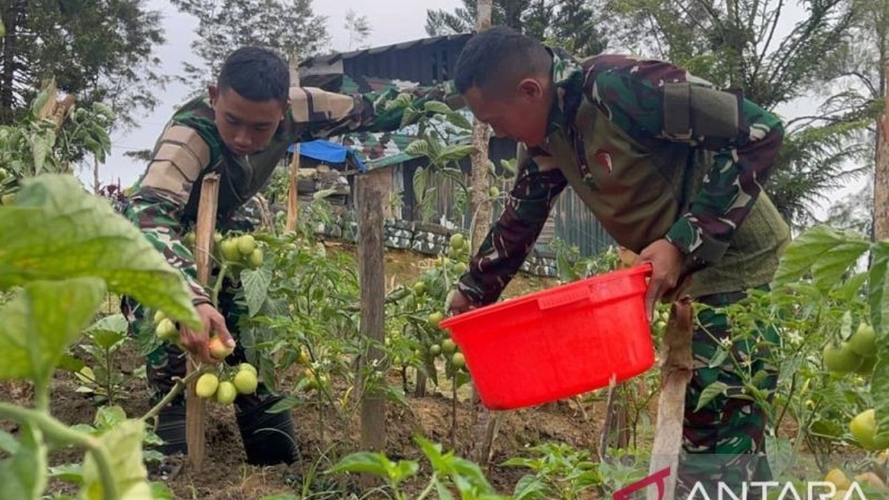 Satgas Yonif 521/DY menunjukkan inovasi dalam menjaga Ketahanan Pangan Jayawijaya. Dengan memanfaatkan lahan kosong, mereka berhasil memanen hasil kebun untuk warga dan prajurit, mengatasi tantangan distribusi di pedalaman Papua.