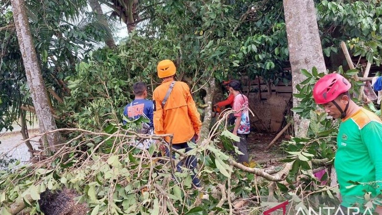 BPBD Cianjur menetapkan status siaga bencana hidrometeorologi selama tujuh bulan ke depan, mengantisipasi cuaca ekstrem dan potensi bencana alam. Simak detailnya di sini!