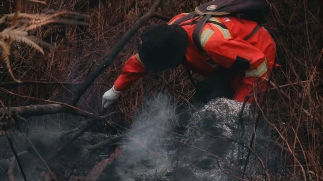 Tim gabungan berhasil memadamkan Kebakaran Hutan Rinjani seluas 36 hektare di tengah medan sulit, namun kewaspadaan tetap jadi kunci. Apa pelajaran penting dari insiden ini?