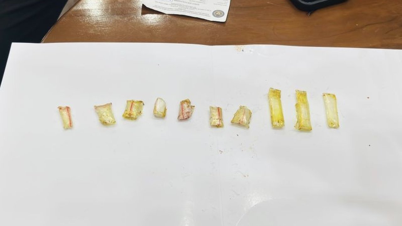 Petugas Lapas Narkotika Jakarta kembali menggagalkan penyelundupan sabu, kali ini disembunyikan dalam masakan ayam kecap, menjadi insiden kelima di tahun 2025 yang membuktikan komitmen Lapas dalam memerangi narkoba.