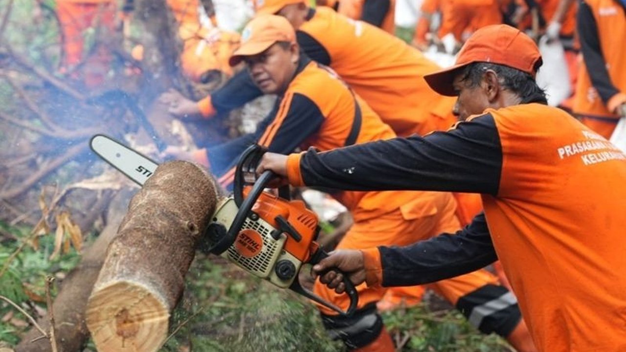 Ratusan petugas gabungan membersihkan 3,6 hektare lahan di RS Sumber Waras, Jakarta Barat, membuka jalan bagi Pengembangan Lahan RS Sumber Waras yang ambisius untuk fasilitas kesehatan terpadu.