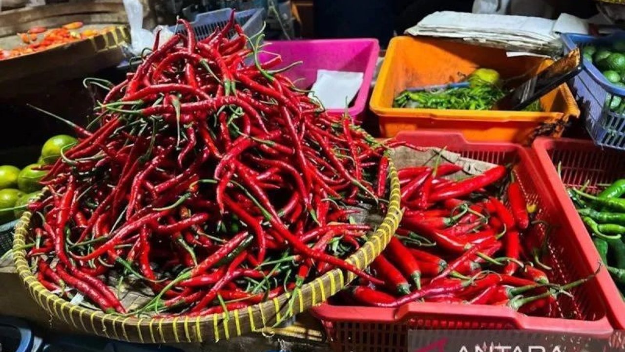 Bapanas mencatat tren positif! Harga pangan turun secara nasional, termasuk cabai rawit dan bawang merah. Simak daftar lengkap komoditas yang lebih terjangkau!