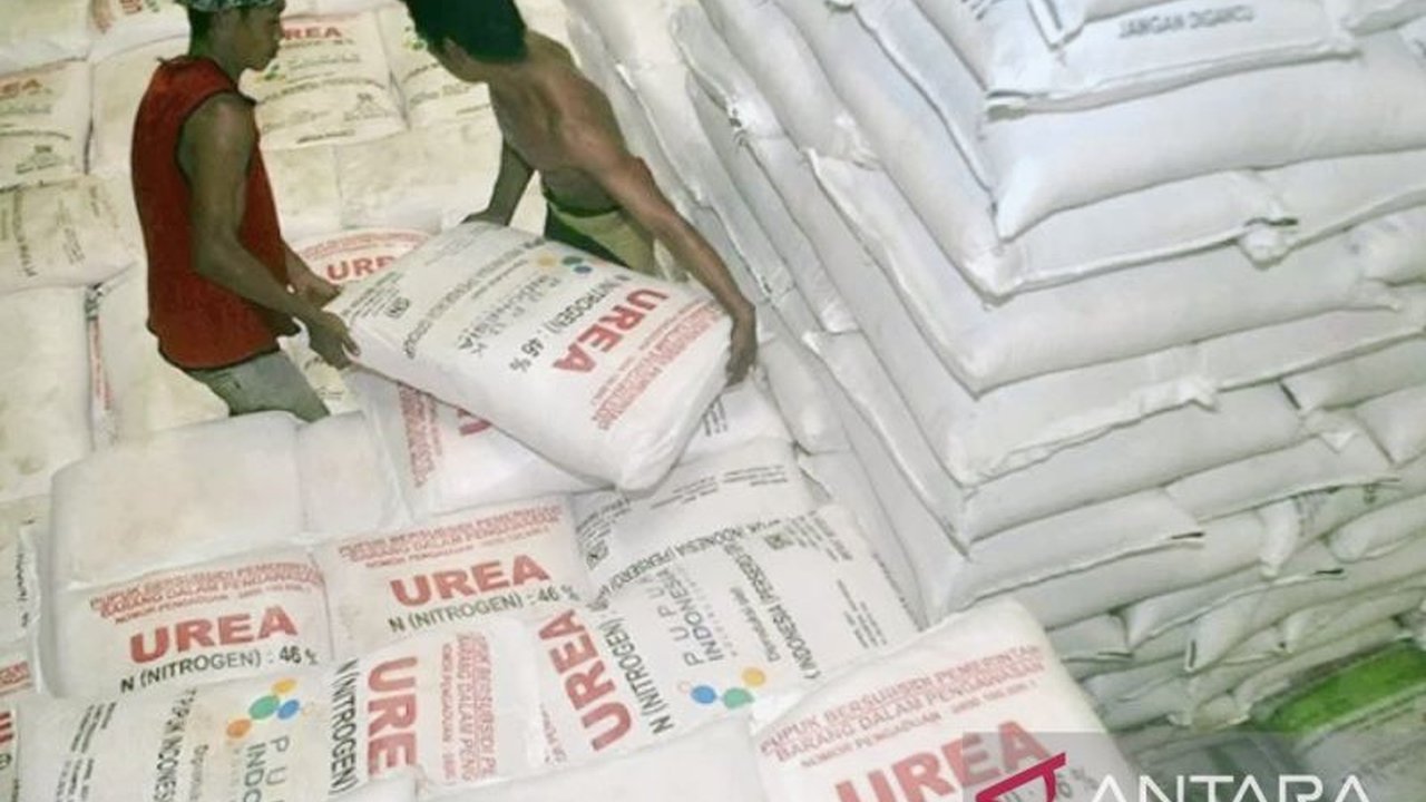 Kontak Tani Nelayan Andalan (KTNA) Karawang mengungkap praktik 'jasa antar' kios pupuk sebagai penyebab utama harga pupuk subsidi melambung tinggi di atas HET. Apa solusinya?