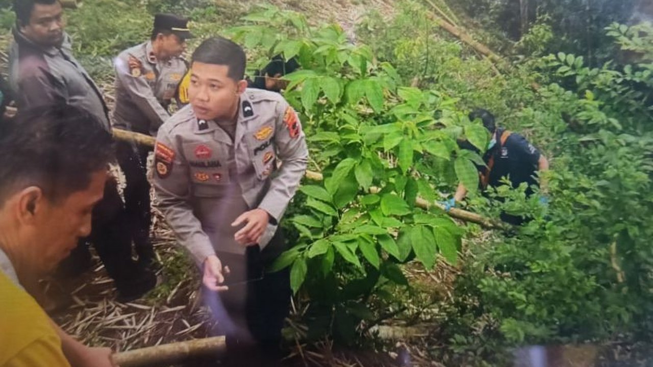 Warga Bukittinggi digegerkan penemuan jasad bayi terpotong tiga di Ngarai Sianok. Polisi selidiki dugaan mutilasi terhadap bayi malang ini. Apa motif di baliknya?
