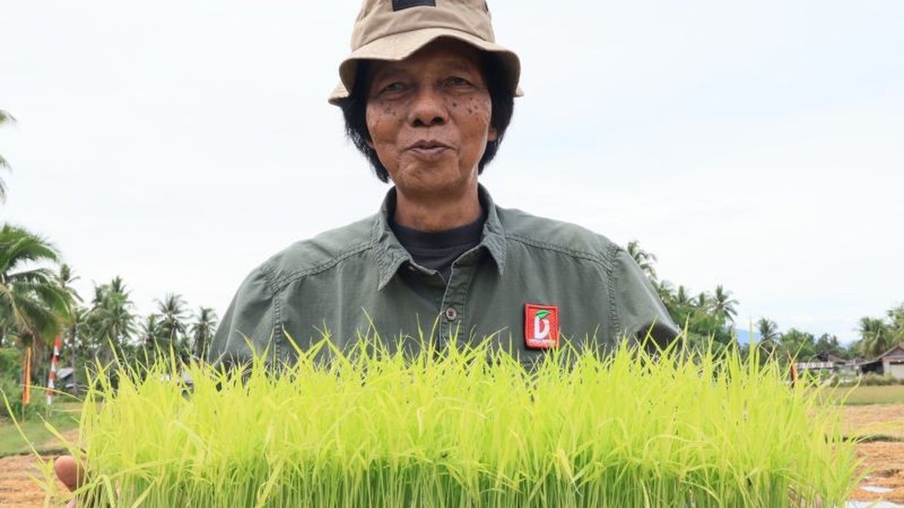 Gubernur Sumatera Barat Mahyeldi menaruh harapan besar pada peran Alumni IPB Sumbar untuk memajukan sektor pertanian, mengingat 57% masyarakatnya berprofesi sebagai petani dan sektor ini menjadi tulang punggung ekonomi.