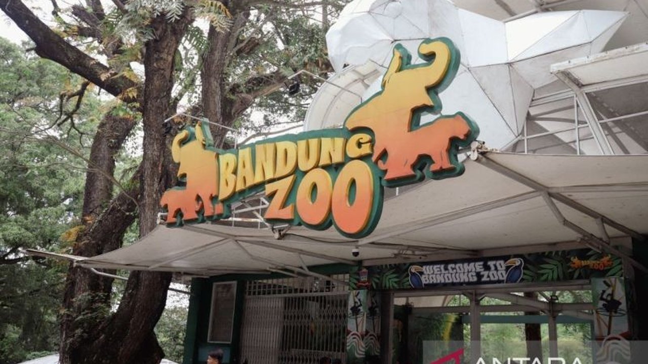 DPRD Kota Bandung mendesak Pemkot Bandung segera ambil sikap terkait nasib pengelolaan Bandung Zoo yang buntu, khawatir berdampak pada satwa dan ikon wisata kota.