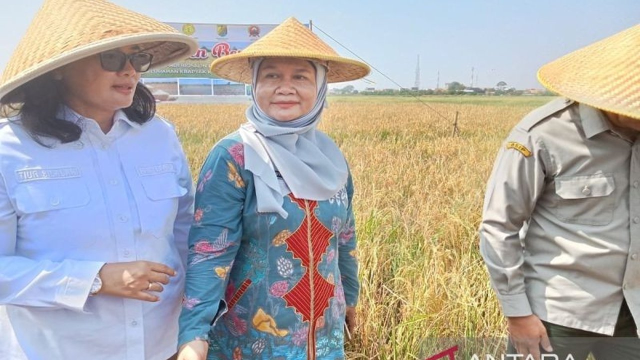 Pupuk Subsidi di Pekalongan kini lebih terjangkau! Harga turun 20% dan ketersediaan terjamin, membuat petani di Kota Pekalongan siap menyambut musim tanam dengan optimis.