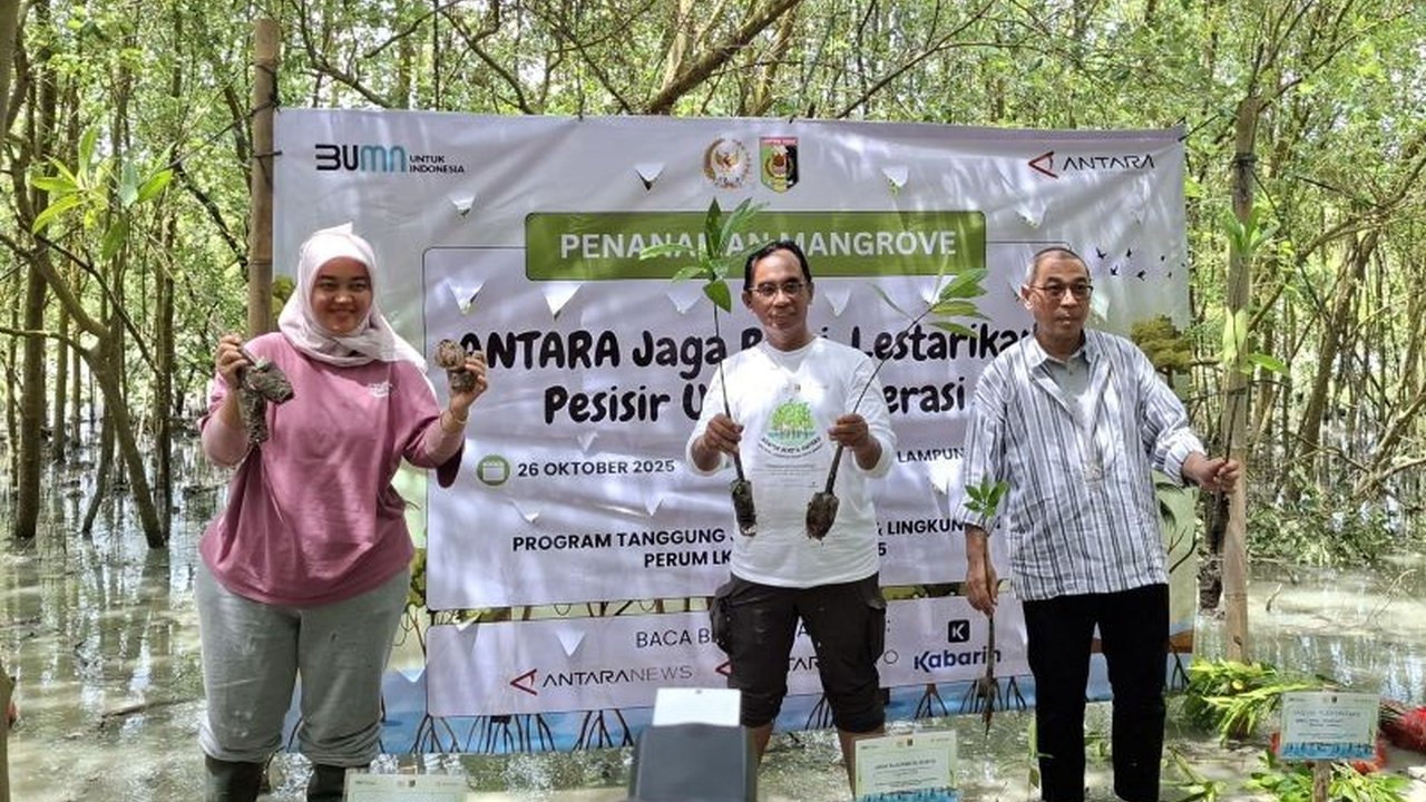 Perum LKBN ANTARA menggelar program Rehabilitasi Mangrove di Lampung Timur, menanam 1.000 bibit untuk menjaga ekosistem pesisir dan mencegah abrasi. Apa dampaknya bagi masa depan?