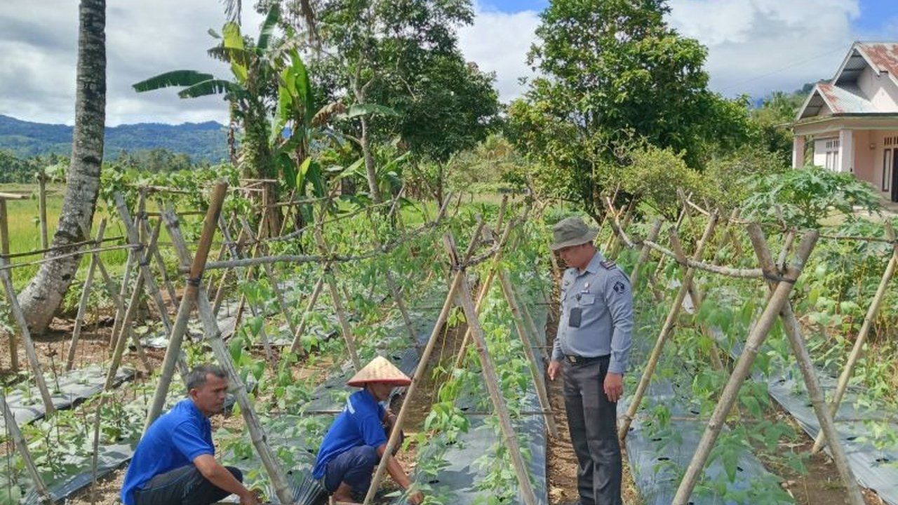 Lapas Kelas III Talu di Pasaman Barat berhasil memanfaatkan lahan kurang produktif seluas 872 meter persegi untuk program Ketahanan Pangan, membekali warga binaan dengan keterampilan bertani.