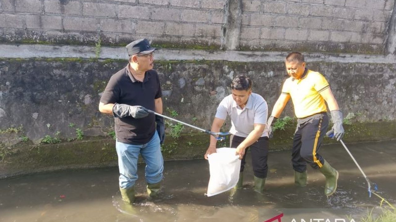 Pemerintah Kabupaten Gianyar berkomitmen mencegah banjir dengan program 'Bersih Sungai Gianyar' dan penanaman pohon setiap minggu. Aksi ini juga bertujuan menjaga lingkungan tetap lestari, penasaran bagaimana pelaksanaannya?