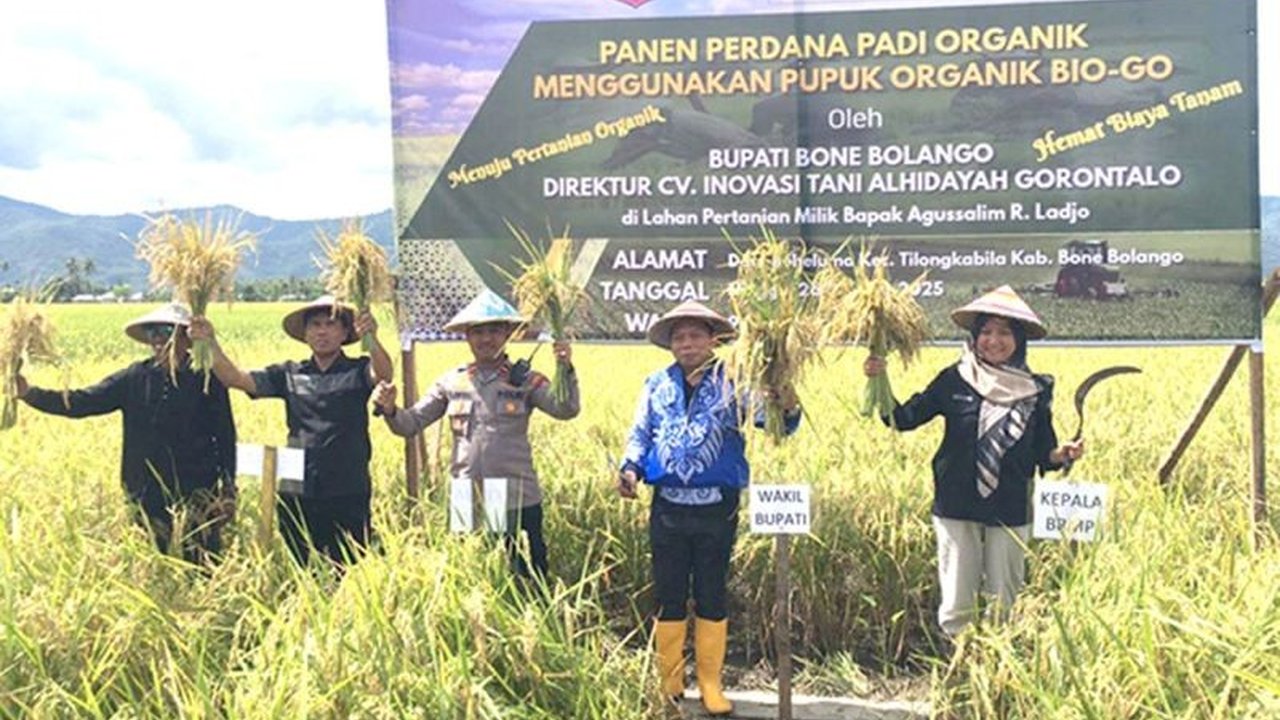 Pemkab Bone Bolango serius mendukung pemanfaatan pupuk organik demi pertanian berkelanjutan. Wakil Bupati Risman Tolingguhu bahkan berupaya mendirikan pabrik pupuk organik di daerah, menjanjikan harga terjangkau bagi petani.